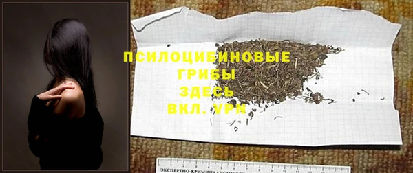 крисы Богородск